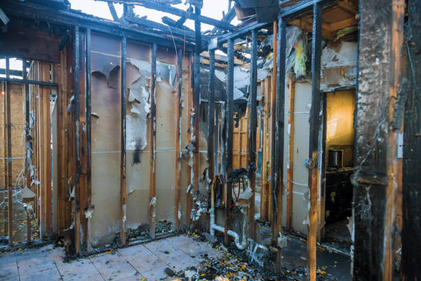 Professional Smoke Damage Removal technician working in Brooktrails, CA